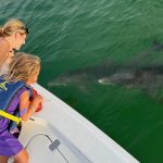 delfin