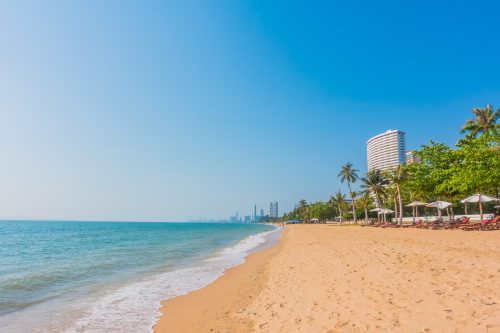 beautiful-beach-sea-with-palm-tree-min (1)