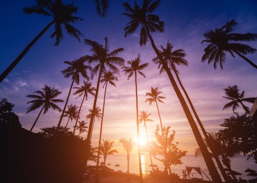 beautiful-sunset-beach-tropics-sky-ocean-min