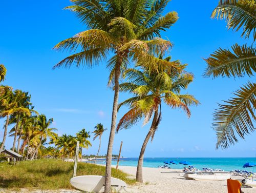 key-west-florida-smathers-beach-palm-trees-us-min