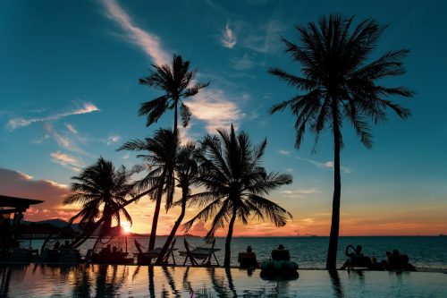 silhouette-palm-tree-group-tourist-looking-sunset-sea-min
